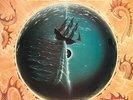 KANSAS - POINT OF KNOW RETURN - LP Vinile 180GR, Nuovo Sigillato, Music on Vinyl