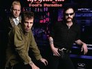 THE HEAD CAT - Fool's Paradise LP LTD BLUE VINYL lemmy motörhead stray cats