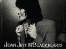 JOAN JETT &  THE BLACKHEARTS - GREATEST HITS NEW VINYL