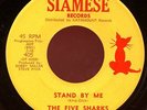 THE FIVE SHARKS.I'LL NEVER LET YOU GO/STAND BY ME.45.Demented Echo Wop. HEAR
