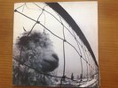 PEARL JAM VS LP 1993 BRAZIL 1st PRESS W INSERT GTFLD EXCELLENT CONDITION