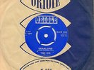 TERRY DENE geraldine*love me or leave me 1960 UK ORIOLE 45