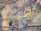 WINGS (PAUL McCARTNEY) - WILD LIFE - 12