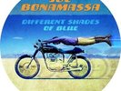 JOE BONAMASSA DIFFERENT SHADES OF BLUE LP VINYL NEW 33RPM