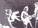 Pearl Jam - DISSIDENT -LIVE in ATL- Grey Vinyl- Limited Ed. -SOLD OUT-RARE-NEW