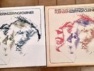 2 Coffrets ARTHUR RUBINSTEIN -Fournier - Szeryng Trio Schubert-Schumann-Brahms