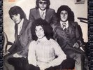 Promo THE SEARCHERS Love Is Everywhere 7/45 PORTUGAL EX++ Unique picture Sleeve
