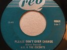 GARAGE PUNK M.G. & The Escorts PLEASE DON'T EVER CHANGE Reo 45 rare Canadian