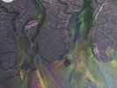 Alt-J Awesome Wave Vinyl LP New