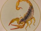 SCORPIONS 'BIG CITY NIGHTS' UK PICTURE DISC 12
