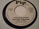 BROTHER THEODORE  LISOLOTTA  BINDEL,I'M JUST PLAIN FOLKS ,VG TO VG+  45 SCARCE
