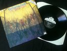 American Blues - Doing Their Thing LP UK 1987 reissue  VG+/EX # ZZ Top # Garage