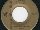NC Northern soul Anthony & Aqua Lads GOLD BEE 1650 I remember / The heart .. MP3