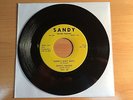DARRYL VINCENT Daddy's goin' batty US SP SANDY J80W-7424 ROCKABILLY ORG.