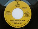JIMMIE DELPHS - Do You Know What I Mean - NM 45 RARE DETROIT MODERN SOUL Jimmy