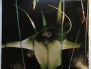 Psychic TV - Dreams Less Sweet LP Import UK 1983 CBS 25737 Industrial Electronic
