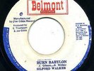 SILFORD WALKER   BURN BABYLON   HARD ROOTS FROM 1975 LISTEN