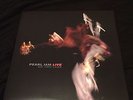 Pearl Jam Live on Two Legs LP