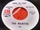 Detroit Mod Garage Punk Dancer Promo 45 The Wanted In The Midnight Hour EX HEAR