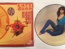 Kate Bush The Kick Inside LP [Emi] 1979 Limited UK Picture Disc Rare Record NM