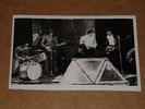 Lemon Tree 1968 7 x 4 Press Photo