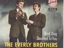 The Everly Brothers Devoted To You / Bird Dog Vinyl Single 7inch Heliodor