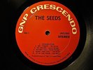 PLAYS MINT 1967 Orig THE SEEDS - RAW & ALIVE Garage FUZZ Punk PUSHING TOO HARD