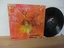 MOTHERHOOD SAME LP IN 1972 DOLDINGER KRAUTROCK MINT