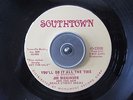 promo BLUES ROCK 45 JIM DICKINSON 