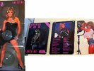Samantha Fox: Touch Me - UK Import, Limited Edition 1986 Triple Picture Disc Set