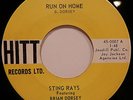 STRONG VG+ Sting Rays -Run on Home (vocal b/w Fastback (Inst) Private Surf 45rpm