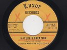 '62 White DooWop/Teen SUNNY & HORIZONS Nature's Creation/Because TheyTold M-HEAR