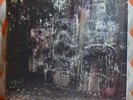 LA DISPUTE - Wildlife Limited 2XLP TRANSPARENT PURPLE VINYL Gatefold Jacket NEW