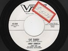 '56 TwinSpin Rockabilly JIMMY JOHNSON Cat Daddy/How About Me VIV M- HEAR BOTH