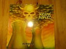 NUCLEAR ASSAULT - SURVIVE LP