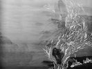 Briana Marela - All Around Us NEW LP
