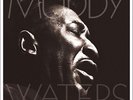 MUDDY WATERS-MANNISH BOY/BEST OF MUDDY WATERS-VINYL LP (2) VINYL PASS NEU
