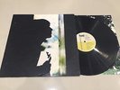 Paul Weller - Wild Wood - LP - Go Discs 828 513-1