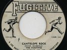CANTELOPE ROCK / THE LECTURE  