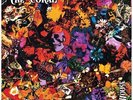 The Coral - Butterfly House