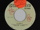 Reggae 45 FREEDOM SINGERS Aquarius on Coxsone VG++