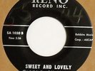 HI-LITES Sweet and Lovely /Please Believe RENO 45 girls doowop R&B popcorn VG+ 7