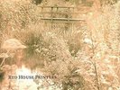RED HOUSE PAINTERS-RED HOUSE PAINTERS (BRIDGE) (DLCD) VINYL LP NEW