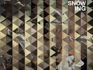 Throwing Snow-Mosaic VINYL NEW