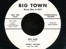 45pc-Blues-BIG TOWN 123-Jimmy Wilson ********PROMO