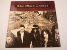 THE BLACK CROWES: THE SOUTHERN HARMONY AND MUSICAL COMPANION  - VINYL