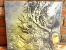 PROTEST THE HERO - Fortress, Limited Import 180 Gram SPLATTER VINYL New