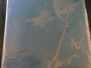 Burial Vs Massive Attack Inhale Gold Paradise Circus Vinyl Rare 602/1000 Mint