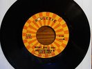 ANITA HUMES & ESSEX 45 What Did I do / Curfew Lover NORTHERN SOUL Roulette w5224
