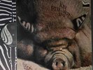 KIN PING MEH No 2 / LP ZEBRA